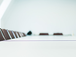 a row of chairs in a room