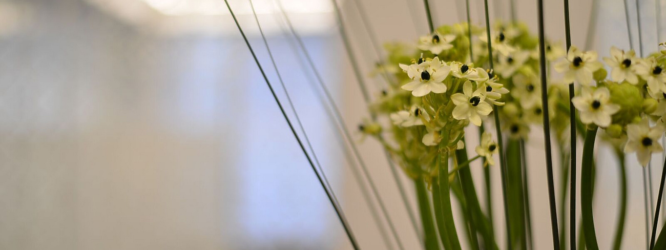 Flowers on a desk