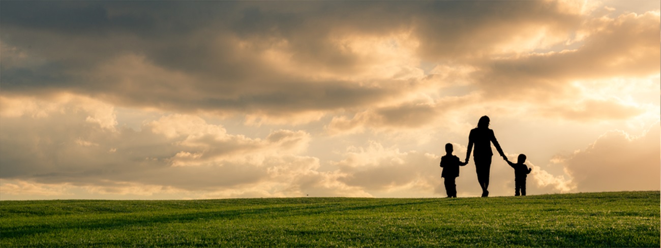 family walking on grass field