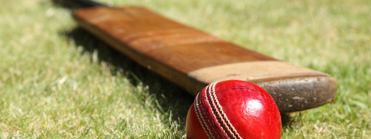 red cricket ball and paddle laying in the grass