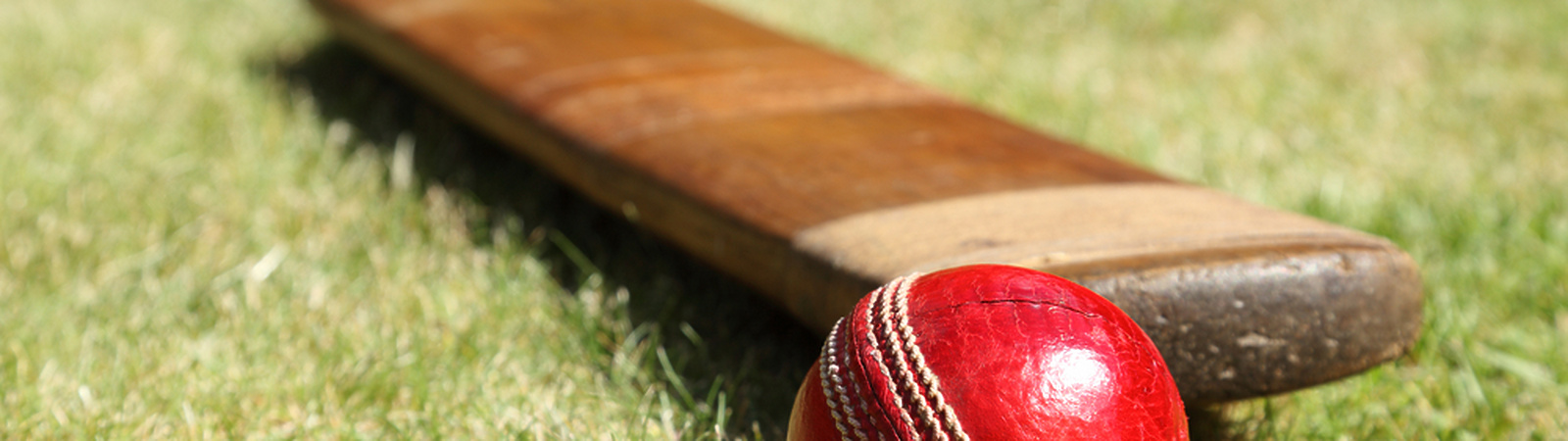 Rollover relief: HMRC out for a duck