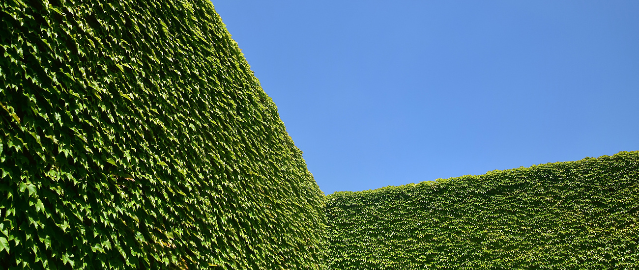 Landed Estates - hedge