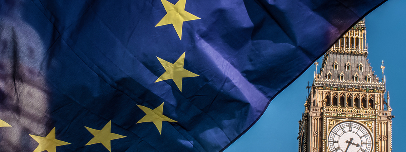 Brexit EU Flag