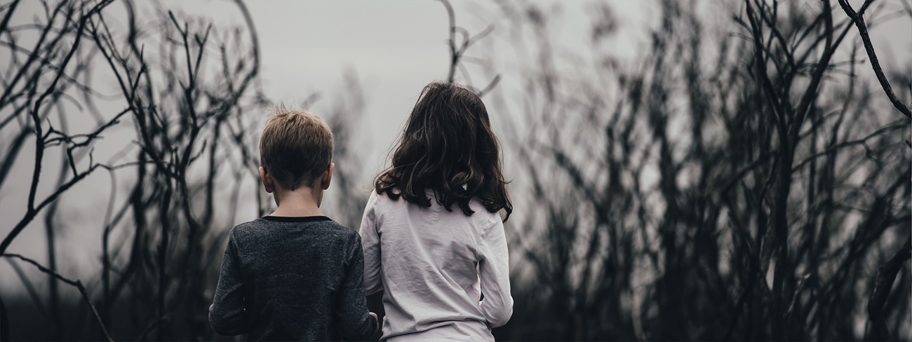 children walking through woodland