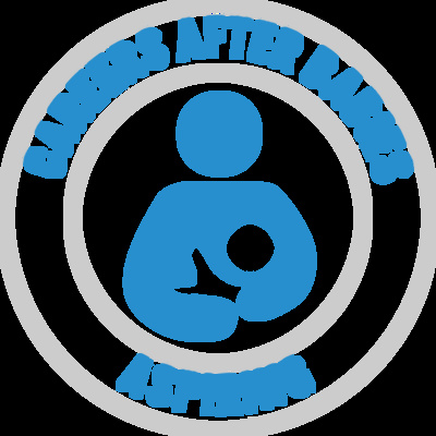 Careers after babies logo