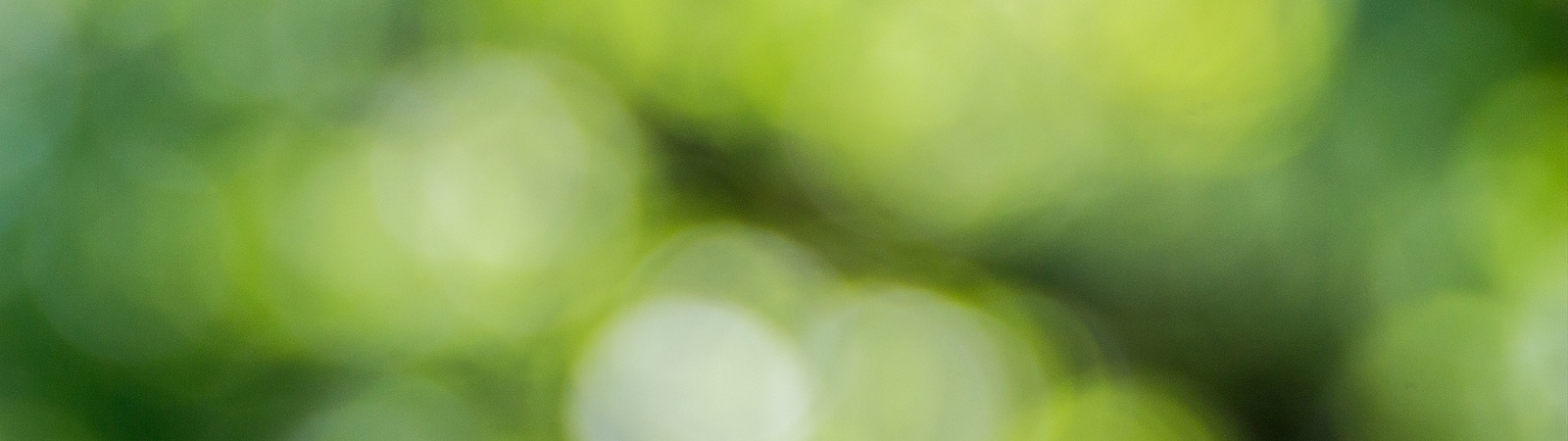 green abstract