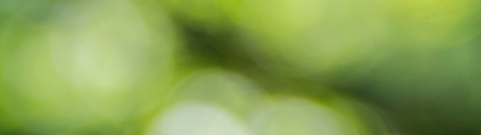 green abstract