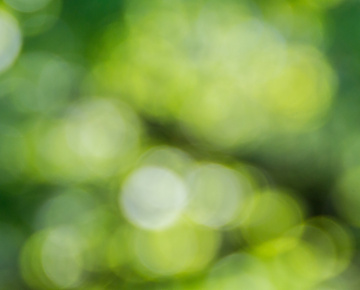 green abstract