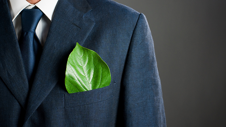a person in a suit with a leaf in his pocket