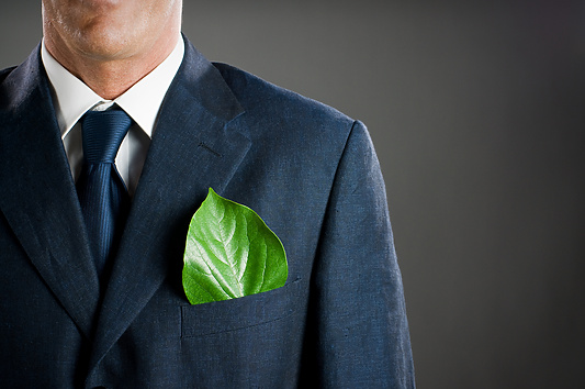 a person in a suit with a leaf in his pocket