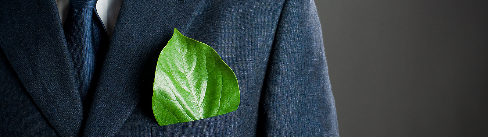 a person in a suit with a leaf in his pocket