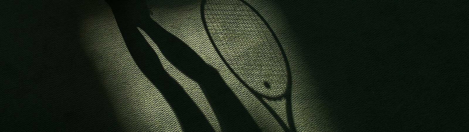 a shadow of a tennis player holding a racket
