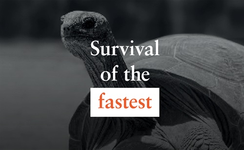 survival-of-the-fastest