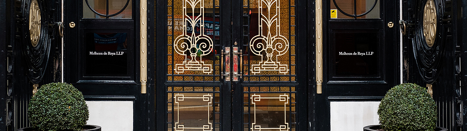 a double doors with ornate designs