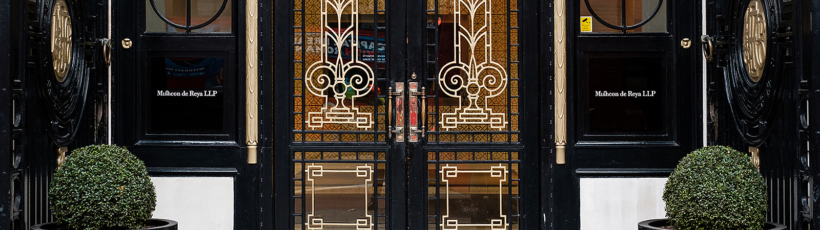 a double doors with ornate designs