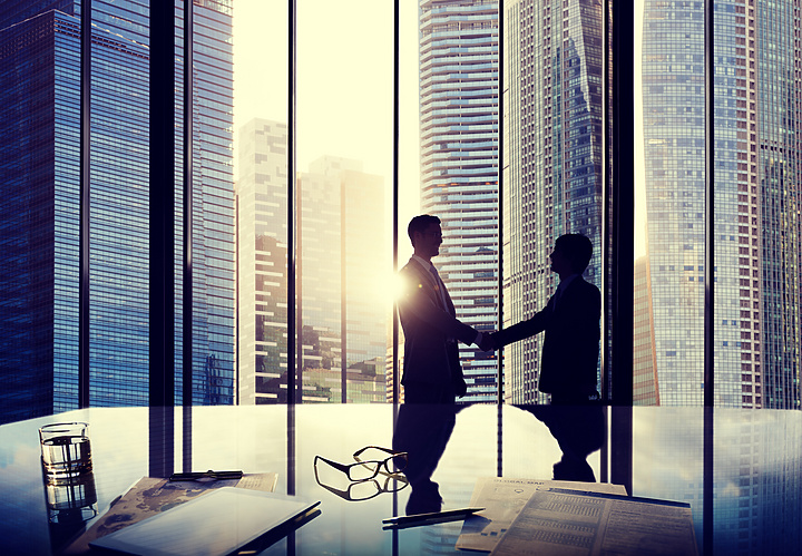 Two people at work handshaking