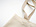 a close up of a bag