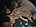 Europe map