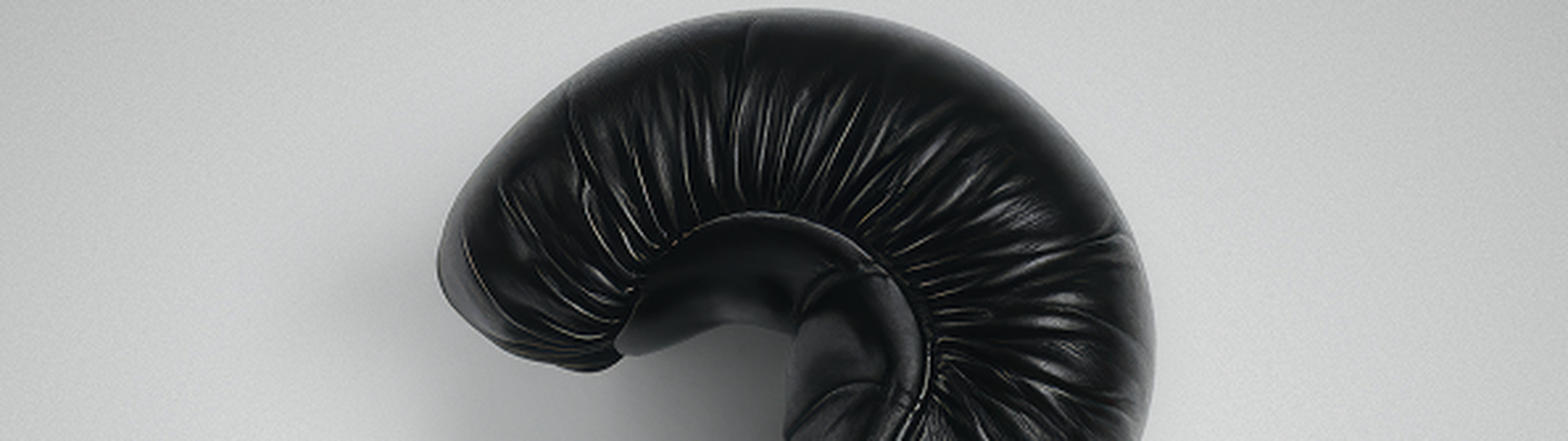 a black leather glove with a black handle