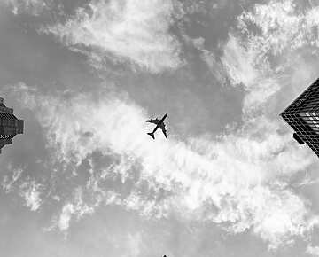 plane in sky