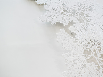 Mishcon office Interior