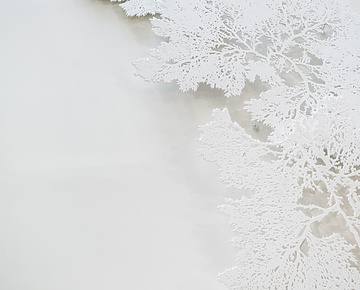 Mishcon office Interior