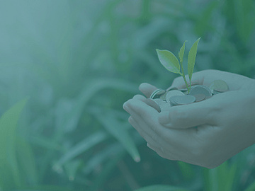 investment concept growing profit for business and finance background