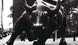 Brass bull