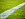synthetic green grass and crisp white lines of a football field