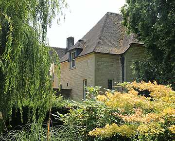 Luxury house with surrounding trees