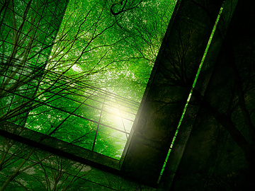 Sustainability green