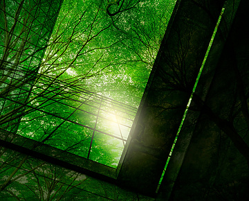 Sustainability green