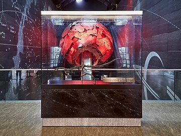 Dinosaur fossil in museum