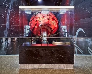 Dinosaur fossil in museum