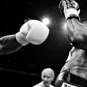 Two boxers