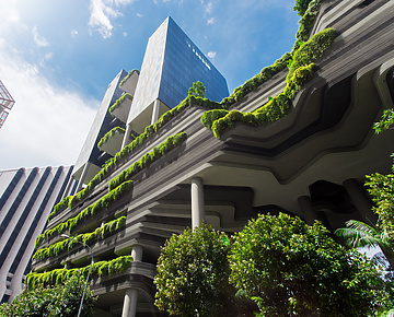 Green building on a city street