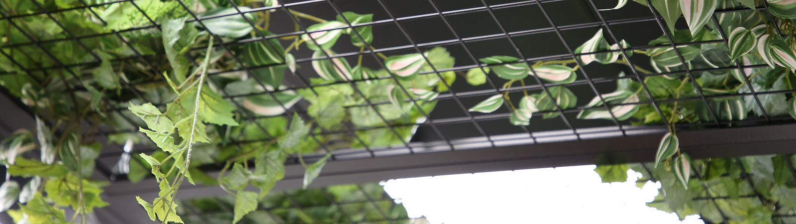 a wire mesh with green leaves