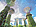 Singapore Garden Trees