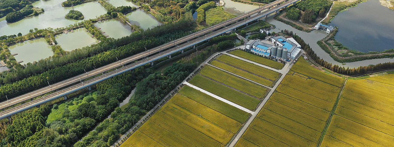 Aerial Farmland view