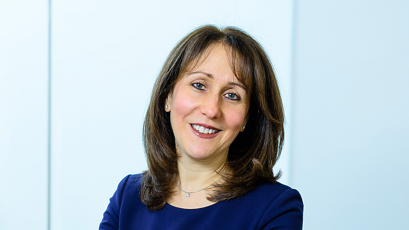 Lisa Hommel, Practice Development Director