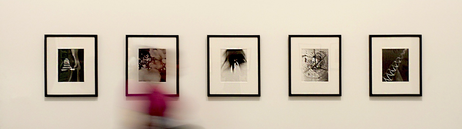 Art gallery visitor