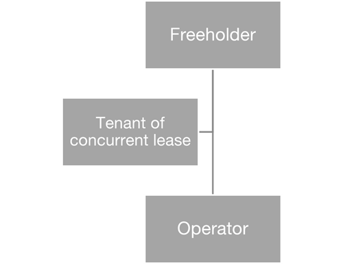 Structure following grant of concurrent lease

