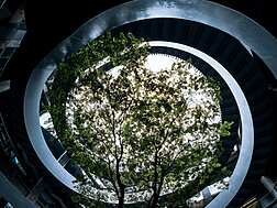 a tree growing in a spiral building