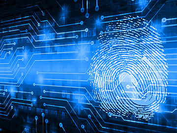 digital identitiy blue