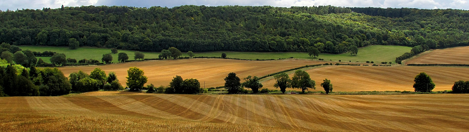 View of english countryside fields