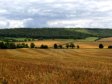 View of english countryside fields