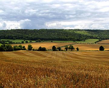View of english countryside fields