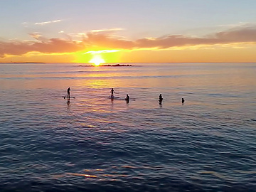 Now & Next: Is Your Job Safe- collaboration, automation, annihilation?