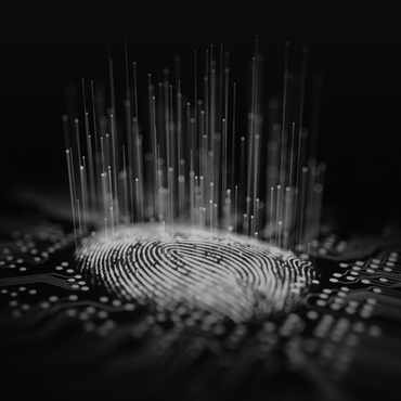A digital fingerprint