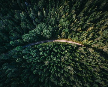 Green climate change